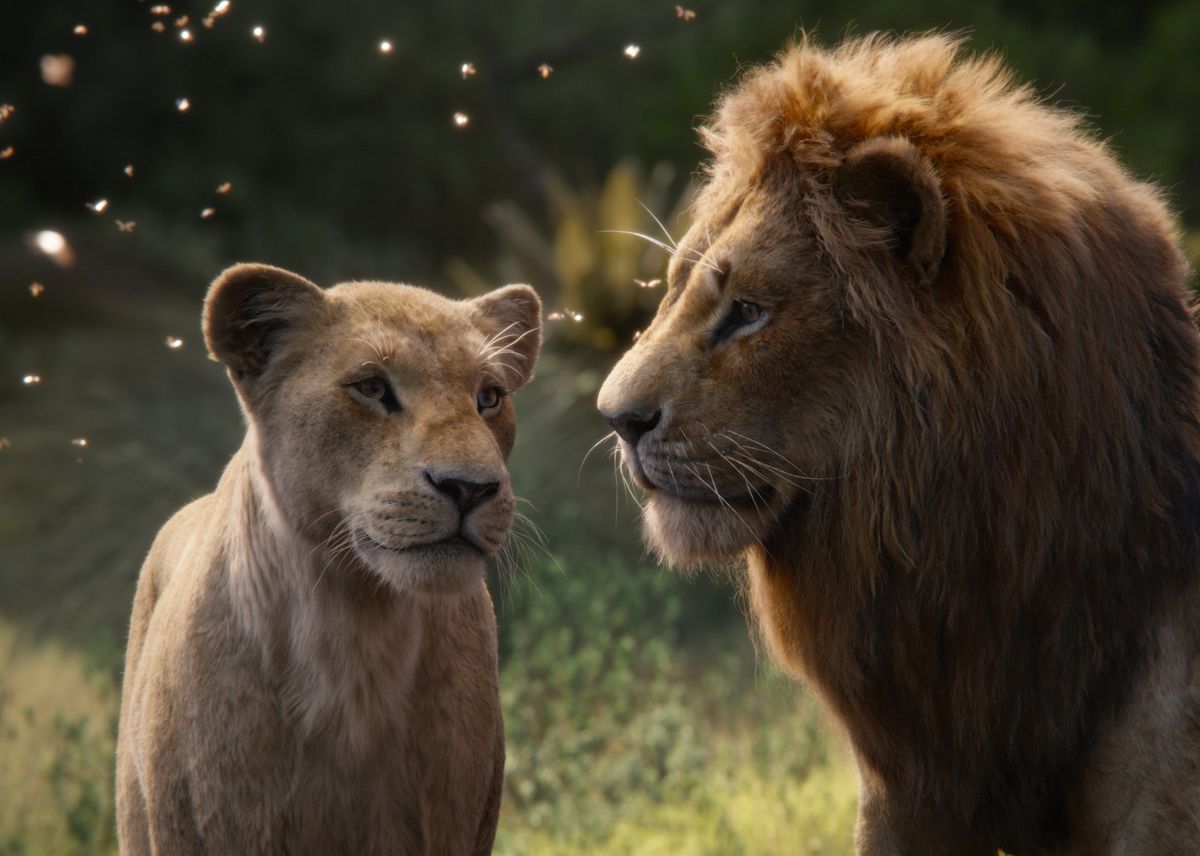WBCS Animal Kingdom - General Science Notes IMAGE