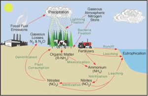 WBCS Geography On - Composition Of Biosphere NOTES IMAGE