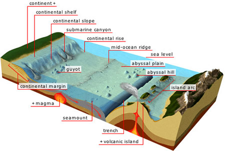 WBCS Bottom Topography Of Ocean Basins - Geography Notes IMAGE