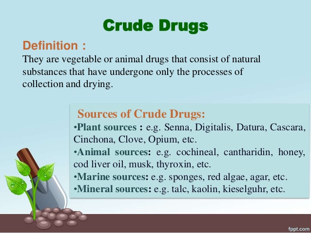 WBCS Crude Drugs - Botany Notes IMAGE