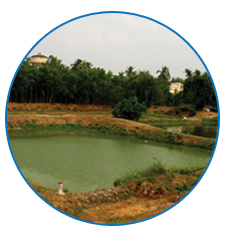 WBCS General Knowledge Notes - On EGIYE BANGLA SCHEMES IMAGE