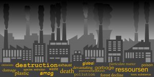 WBCS Environmental Degradation - Essay Composition IMAGE