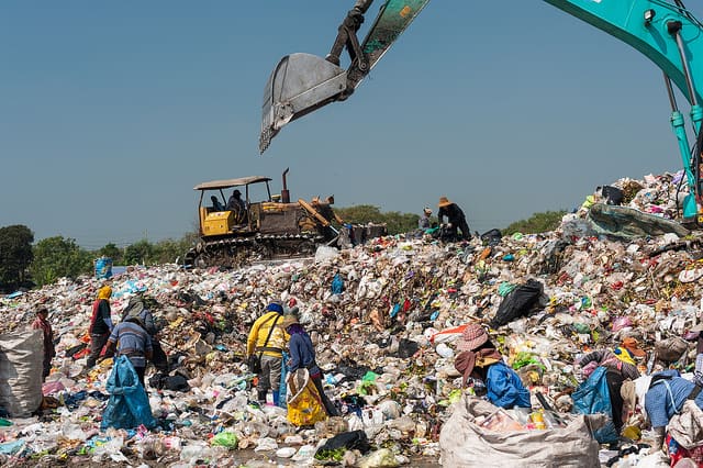 WBCS Essay Composition - On Population And Associated Issues IMAGE