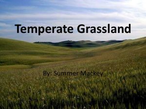 WBCS Geography Notes - On Temperate Grasslands IMAGE