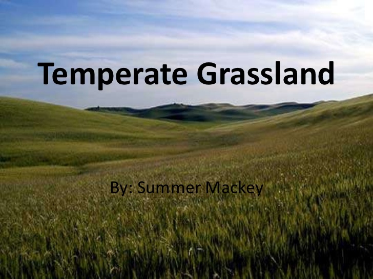 WBCS Geography Notes - On Temperate Grasslands IMAGE