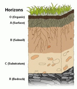 WBCS Soil Profile - Geography Notes IMAGE