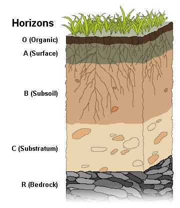 WBCS Soil Profile - Geography Notes IMAGE
