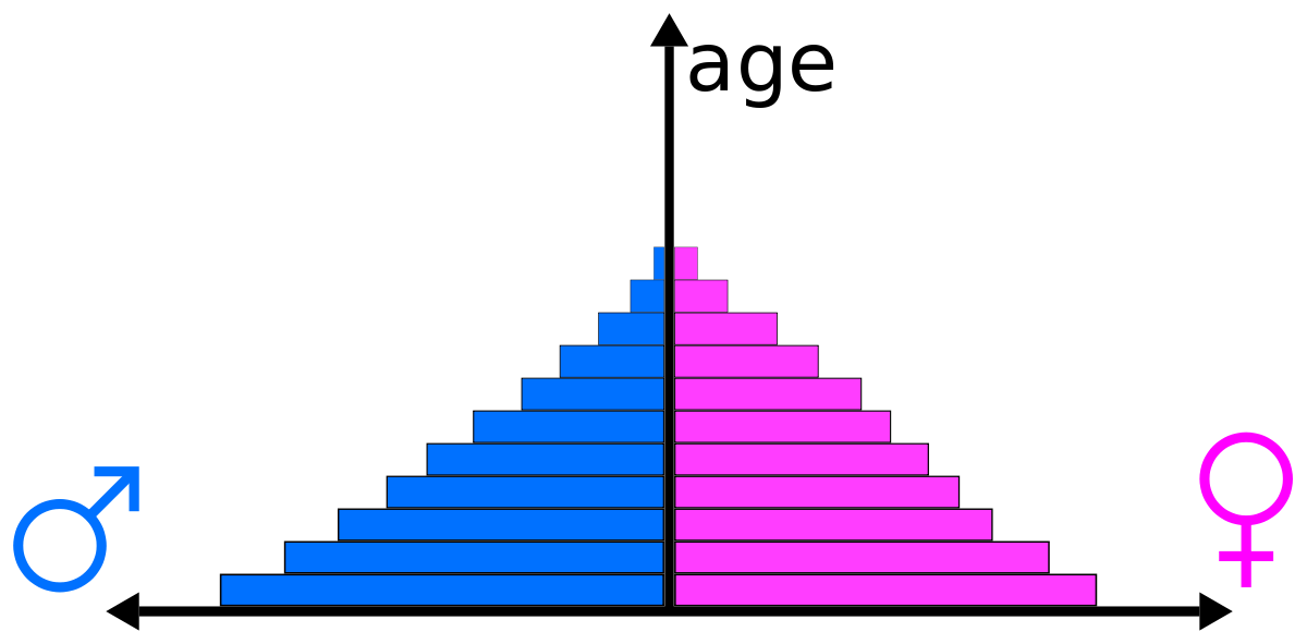 WBCS Age-Sex Structure - Geography Notes IMAGE