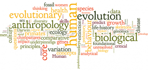 WBCS Human Physical Growth - Anthropology Notes IMAGE