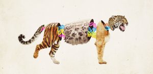 WBCS Mammalian Hybrids - Zoology Notes IMAGE