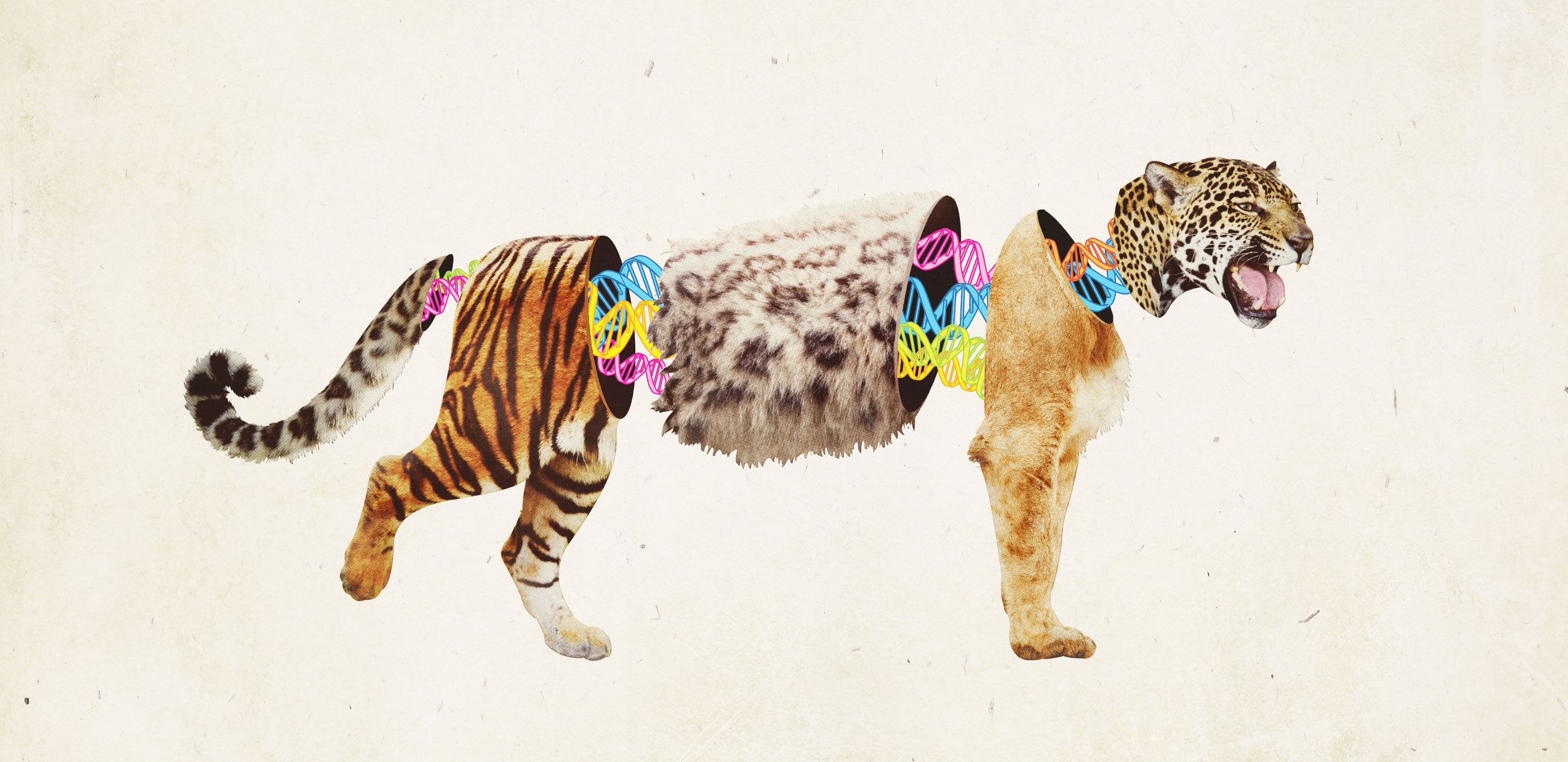 WBCS Mammalian Hybrids - Zoology Notes IMAGE