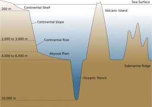 WBCS Geography Notes On - Oceanic Trenches IMAGE