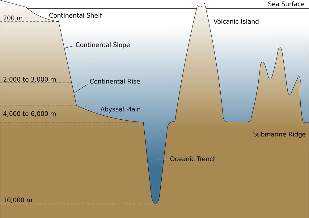 WBCS Geography Notes On - Oceanic Trenches IMAGE