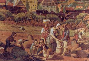 WBCS Peasant Concept - Anthropology Notes IMAGE