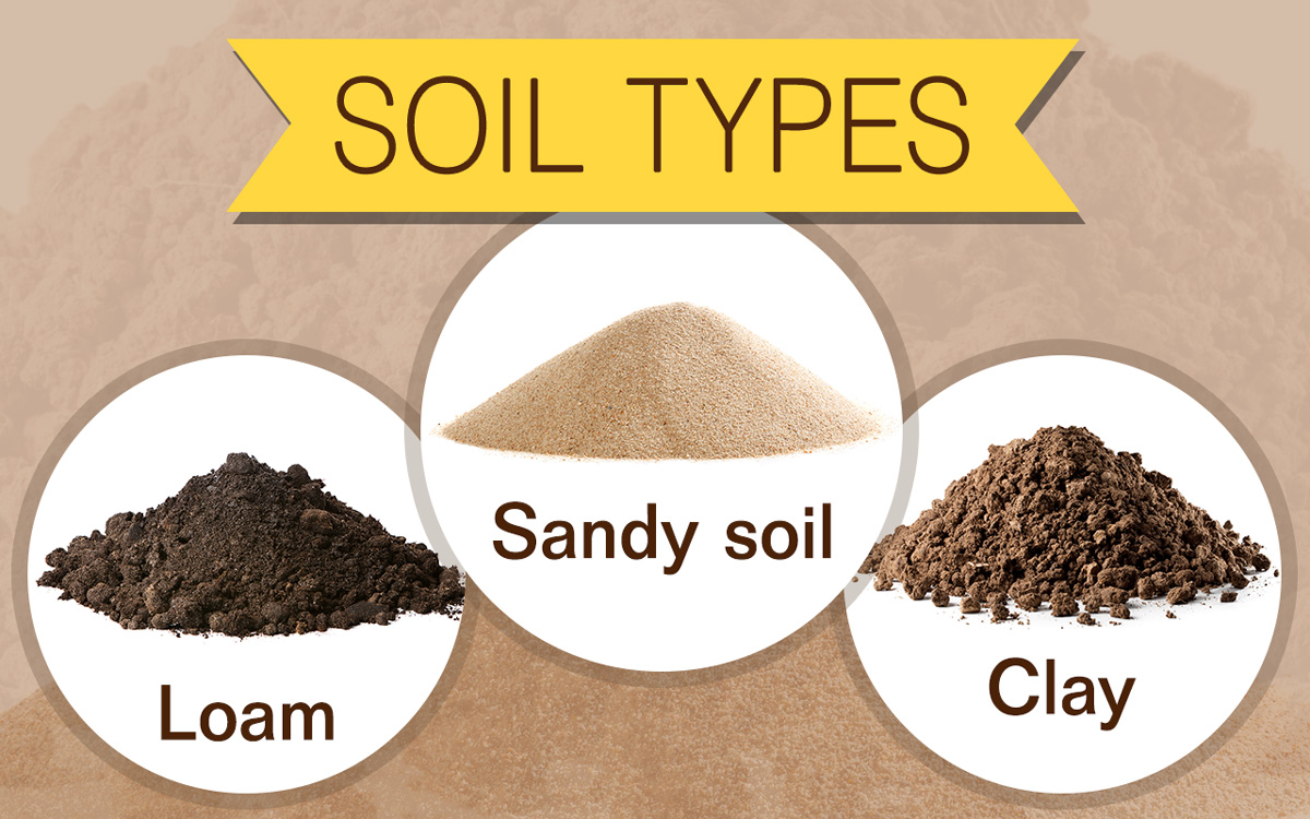 WBCS GEOGRAPHY soil notes image