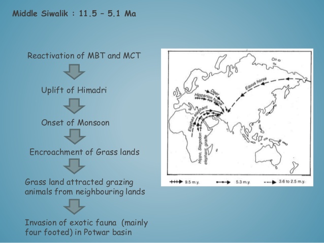 WBCS Siwalik Fauna - Geology Notes IMAGE