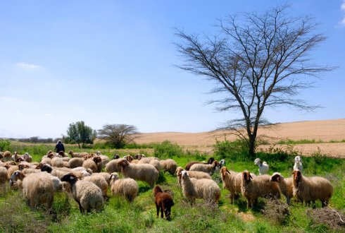 WBCS ANIMAL ECOLOGY - Animal Husbandry And Veterinary Science Notes IMAGE