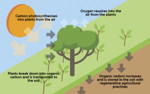 WBCS Animal Husbandry And Veterinary Science Notes - On - Carbon Farming IMAGE
