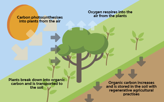 WBCS Animal Husbandry And Veterinary Science Notes - On - Carbon Farming IMAGE
