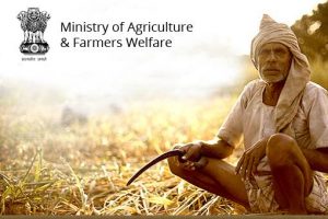 WBCS Package Practices Of Major Horticultural Crops - Agriculture Notes IMAGE
