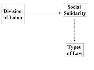 WBCS Sociology Notes On - The Division Of Labor In Society IMAGE