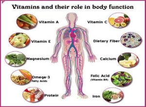 WBCS General Science Notes On - Role of Vitamins In Our Body IMAGE