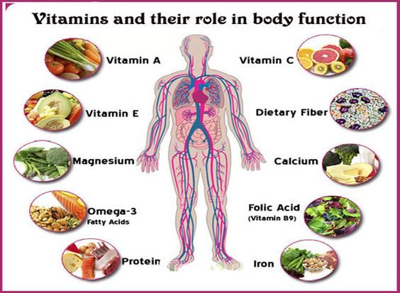 WBCS General Science Notes On - Role of Vitamins In Our Body IMAGE