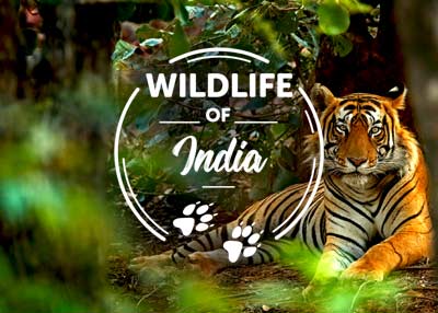 WBCS Optional Question Paper Zoology Paper I And II IMAGE