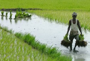 WBCS Agricultural Labourers - History Notes IMAGE