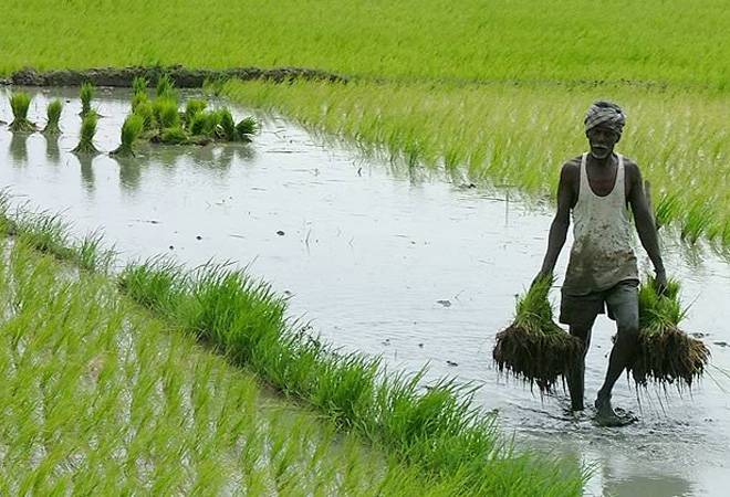 WBCS Agricultural Labourers - History Notes IMAGE