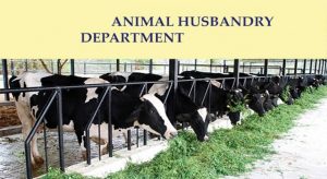 WBCS Predicting Feed Intake - Animal Husbandry And Veterinary Science Notes IMAGE