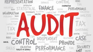 WBCS Commerce And Accountancy - Company Audit NOTES IMAGE