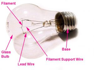 WBCS Physics - Incandescent Bulb IMAGE
