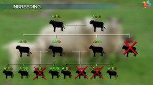 WBCS Inbreeding - Agriculture Notes IMAGE