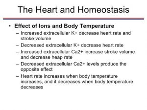 WBCS Animal Husbandry And Veterinary Science Notes On - Effects Of Ions On Heart NOTES IMAGE