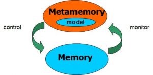 WBCS Psychology Notes On - Metamemory IMAGE