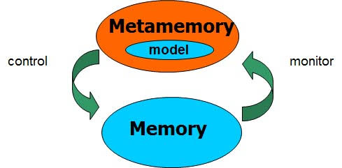 WBCS Psychology Notes On - Metamemory IMAGE