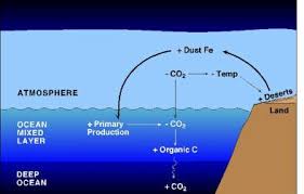 WBCS Geology Notes On - Ocean Fertilization IMAGE