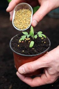 WBCS Agriculture Notes On - Plant Nutrients IMAGE
