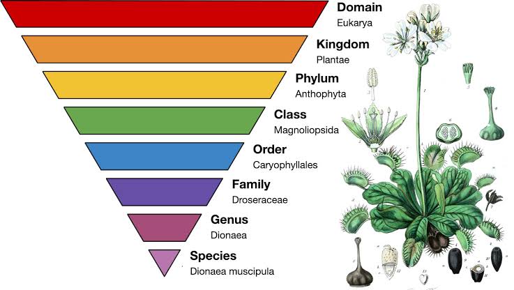 WBCS Plant Resource Development - Botany Notes IMAGE