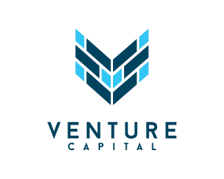 WBCS Venture Capital - Commerce And Accountancy Notes IMAGE