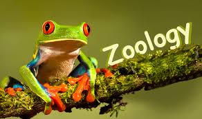 WBCS Main 2008 Optional Question Paper Zoology IMAGE
