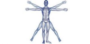 WBCS Optional Physiology Question Paper I And II IMAGE