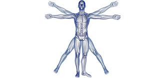 WBCS Optional Physiology Question Paper I And II IMAGE