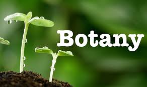 WBCS Optional Question Paper Botany IMAGE