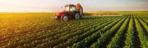 WBCS Optional Agriculture Question Paper I And II IMAGE