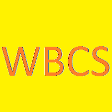 WBCS strategy image sample