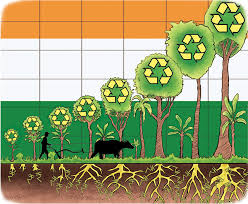 WBCS Cause For Decrease In The Forest Cover In India-Essay Composition IMAGE