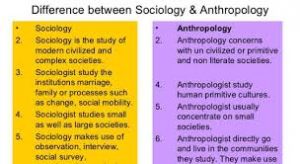 WBCS Relationship Between Social Anthropology And Sociology - Anthropology Notes IMAGE
