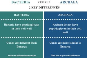 WBCS Difference Between Archaea And Bacteria - Botany Notes IMAGE